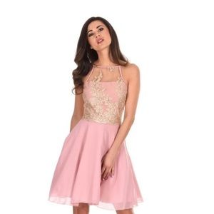 AX Paris | Dresses | Ax Paris Pink Mesh Gold Embroidered Skater Dress Size  4 Us | Poshmark